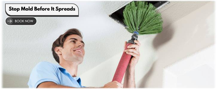 Air Duct Mold Removal in Baltimore