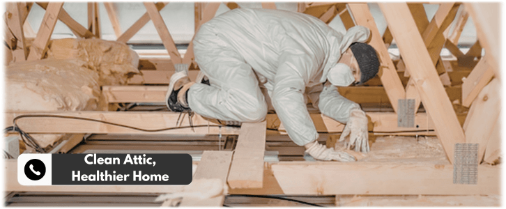 Attic Cleaning Baltimore